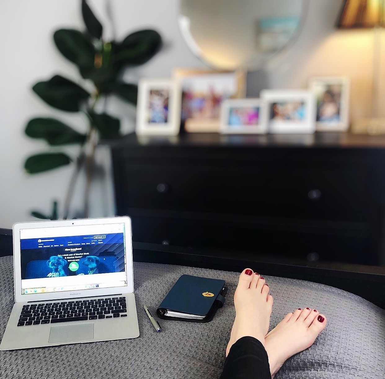 Legs on a bed with a laptop open showing a comparison website